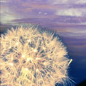 Meet your Posher, Heidy